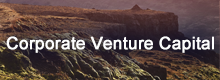 Corporate Venture Capital