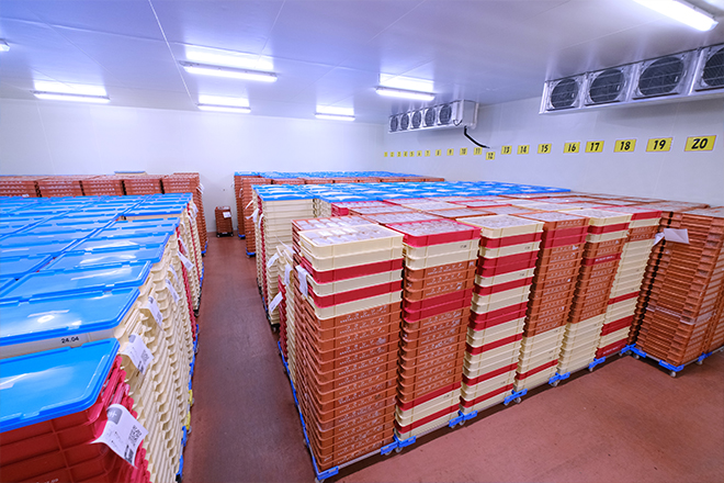 繁忙期には冷凍庫内に商品がいっぱいになり、コンテナの山数は1,200を数えるイメージ
