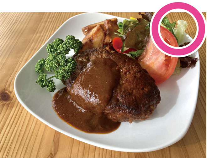 半逆光（被写体の斜め後ろからの光）