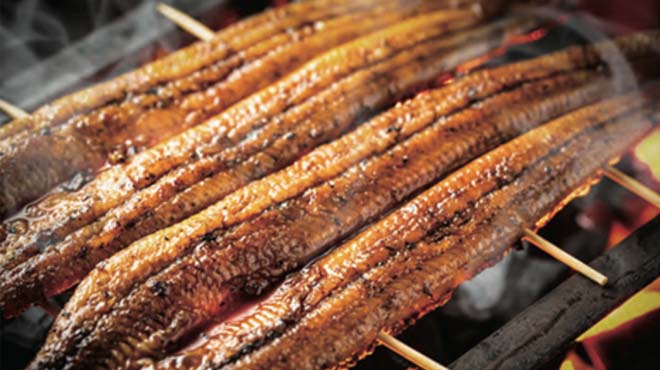 ウナギのイメージ画像