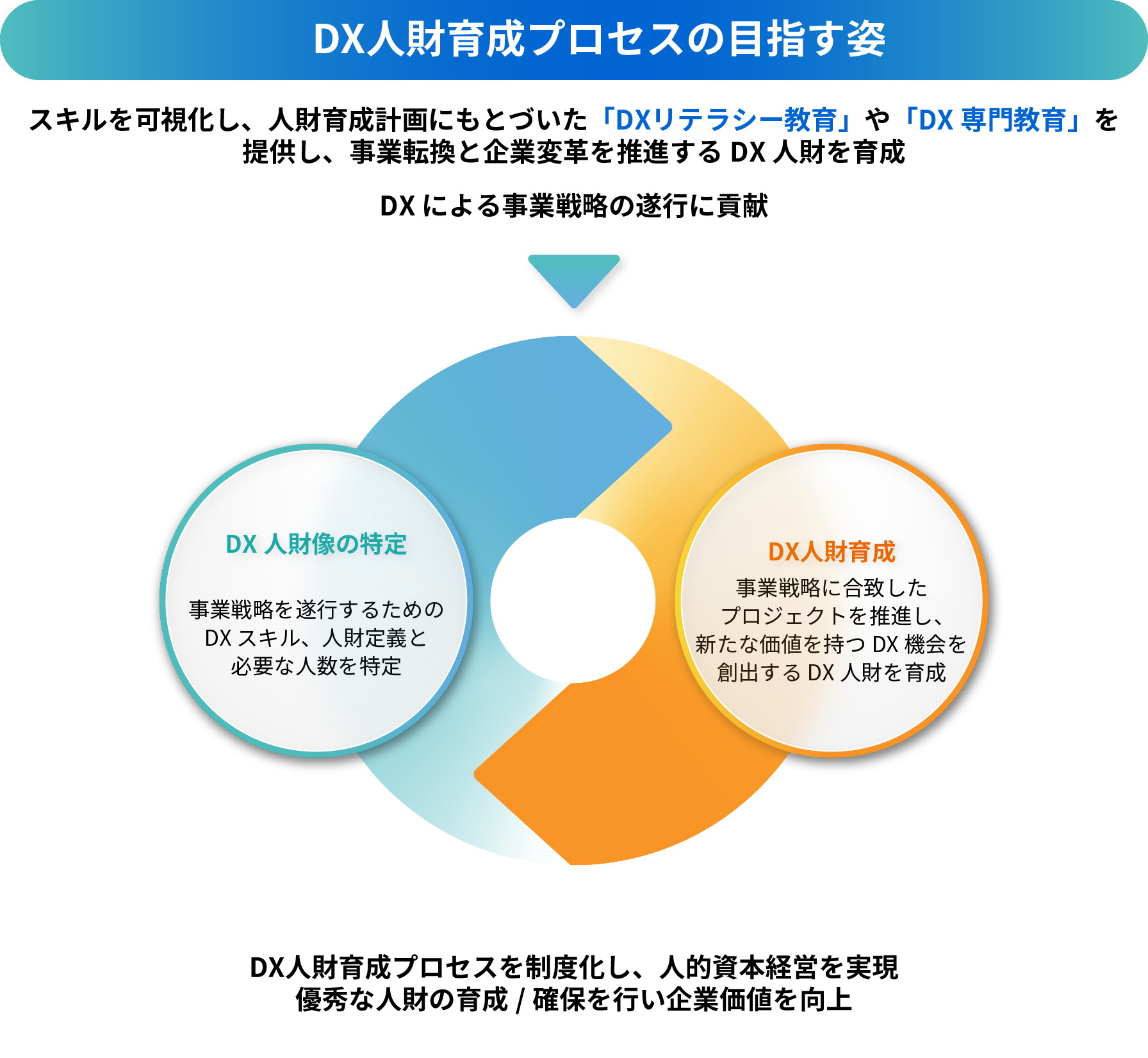 DX人財育成ゴール 全社員へのDXリテラシー教育と、対象者への専門教育を行うことで事業転換と企業変革をリードできる人財を育成し、経営戦略の遂行にDXで貢献 DX人財育成プロセスを制度化し、人的資本経営を実現 優秀な人財の育成/確保を行い企業価値を向上