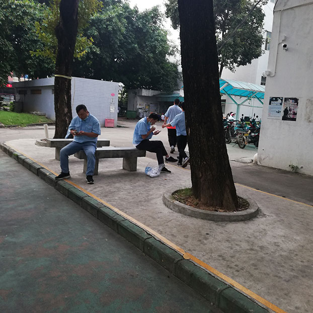 事業所内緑地管理 Green area management within the site