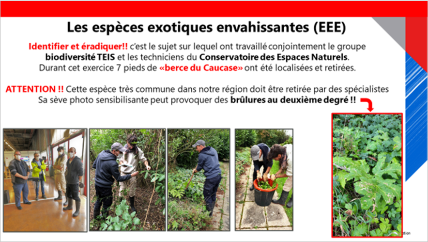 侵略的外来種生息調査・駆除　Survey and extermination of invasive alien species