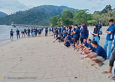 希少生物(アオウミガメ)保護育成活動 Conservation of rare species (Green turtles)