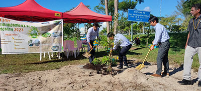 植樹活動 Tree planting