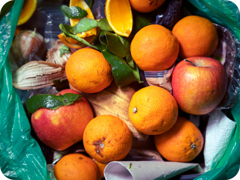 生産性向上と食品ロス削減を実現<br>リアルタイム在庫情報サービスのイメージ