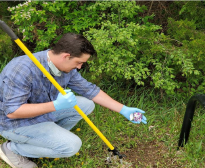 ミッチェル湖遊歩道花植活動