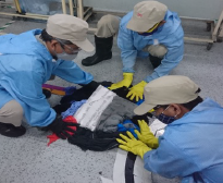 化学物質取扱い・緊急時対応実地訓練