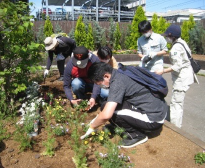 楽寿園・小浜池での花植活動・雑草駆除・落葉清掃