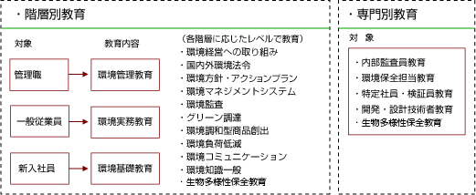 階層別教育と専門別教育の図