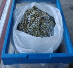 プルタブ・ペットボトルキャップの回収・寄贈