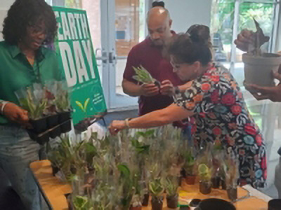 オフィス内緑化活動
