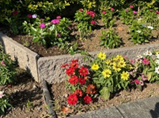 事業所内・社有地緑地管理