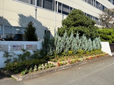 事業所内・社有地緑地管理