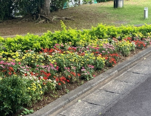 事業所内・社有地緑地管理