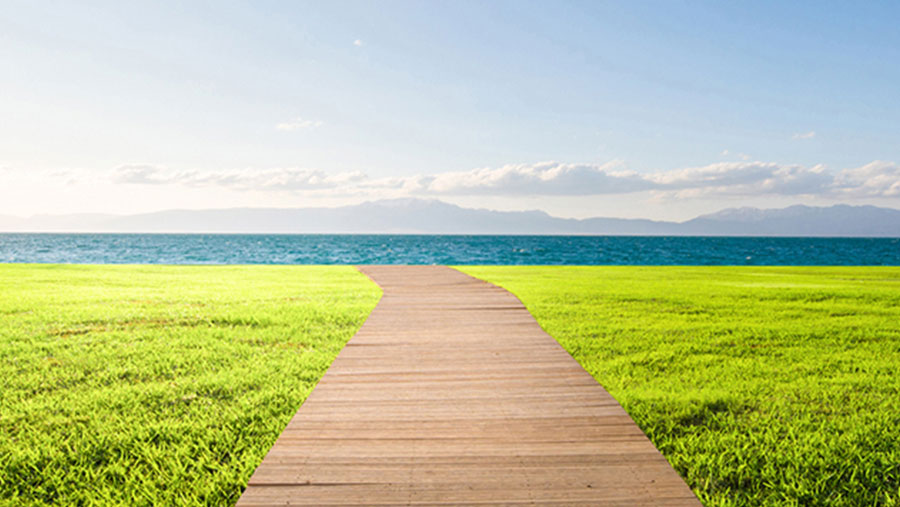 環境カテゴリーに関するサムネイル画像