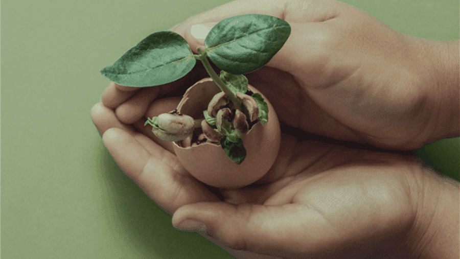 サステナビリティ統合報告のイメージ画像