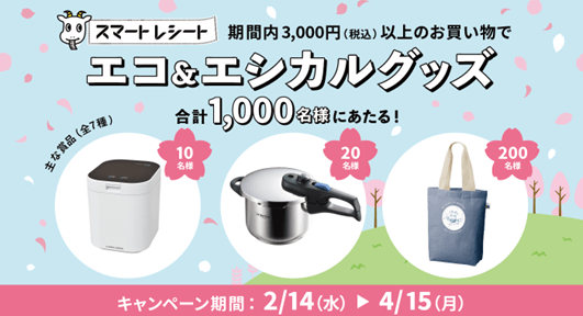 レシカルキャンペーン詳細の画像