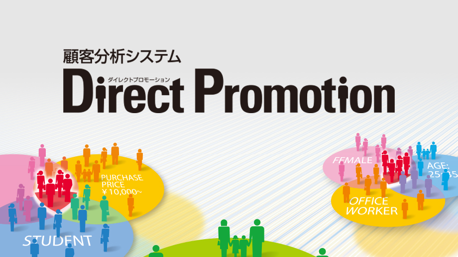 顧客分析システム Direct Promotion イメージ