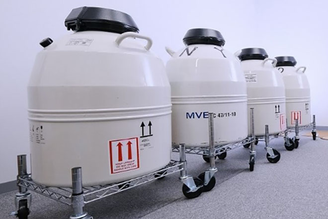 受精卵を保存する凍結保存容器のイメージ