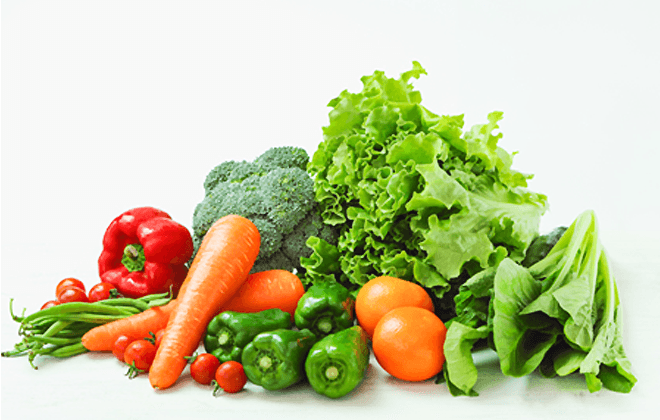 野菜が数多く映っている画像