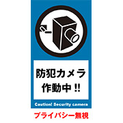 防犯カメラ作動中_A