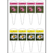 プランター用商品紹介札