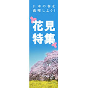 花見特集