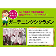 花屋さんおすすめポップ