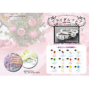 宝石店向けちらし