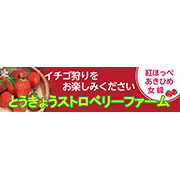 いちご狩りサンプルデータ