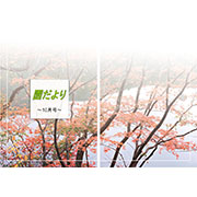 園だより（表）