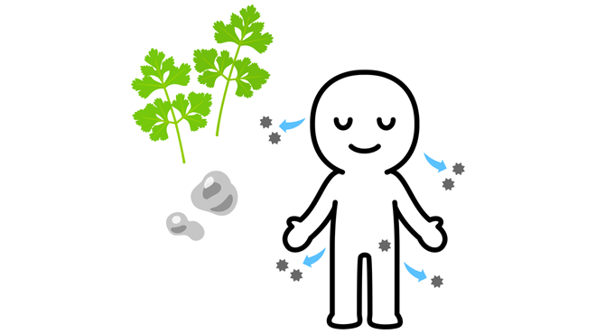 デトックスしているイラストイメージ