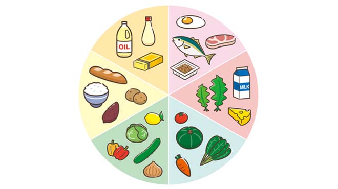 栄養素をあらわす円グラフのイメージ画像