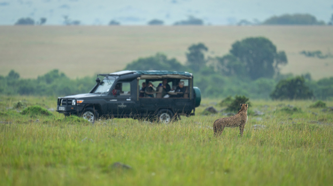 サファリツアーのイメージ画像