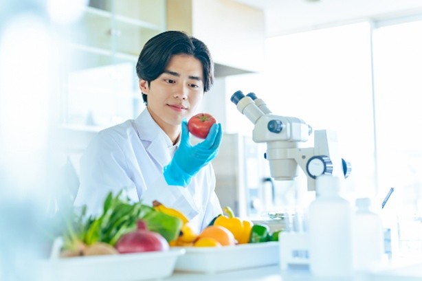 食品の安全性や品質を検査する研究のイメージ画像