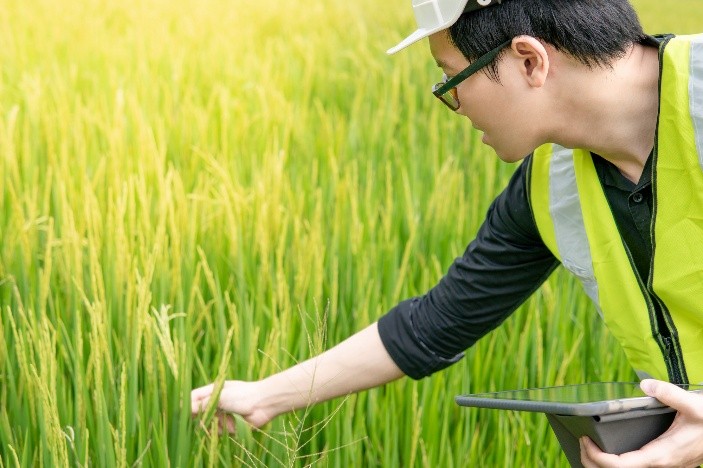 農作物の状態を確認している農業のイメージ画像