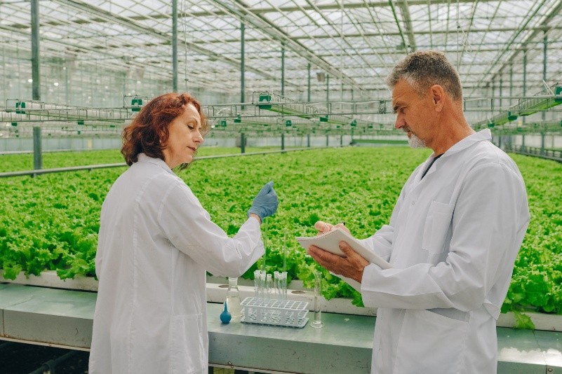 温室内で作物の研究・分析を行う農業研究のイメージ画像