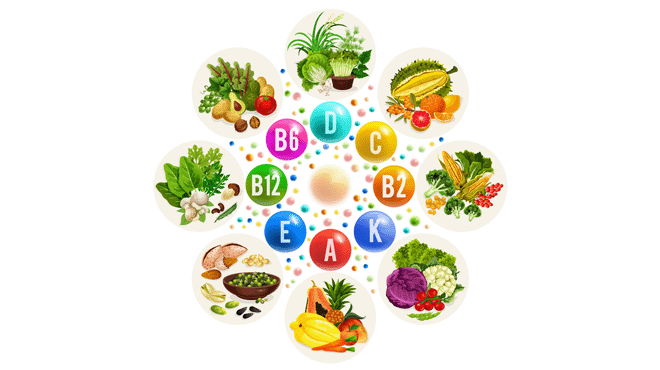 ニュートリスコアのイメージ画像