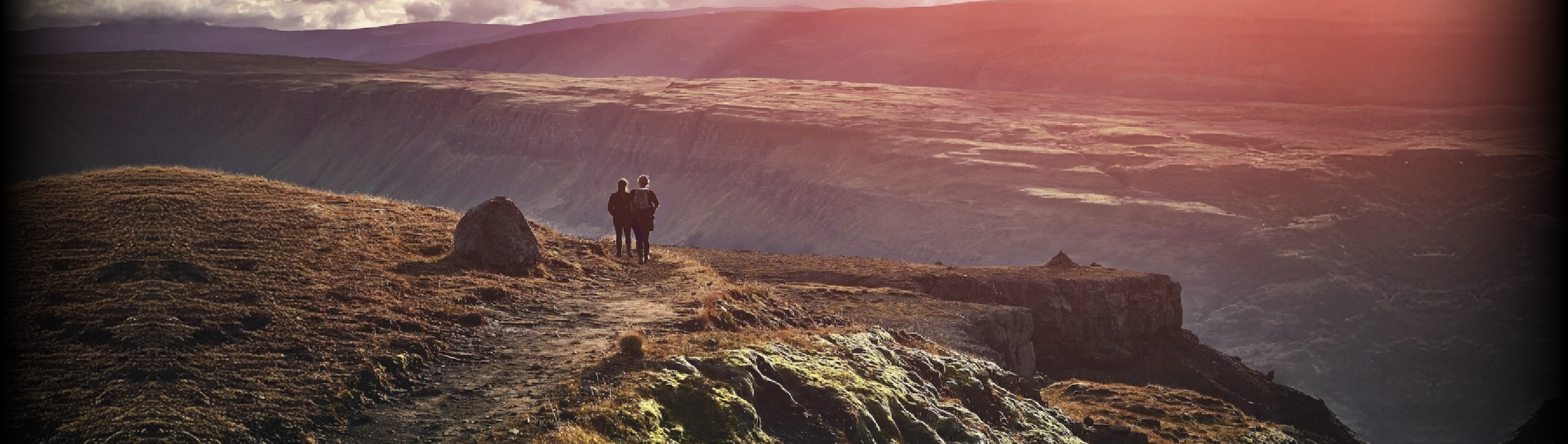 Corporate Venture Capital (CVC)のイメージ画像