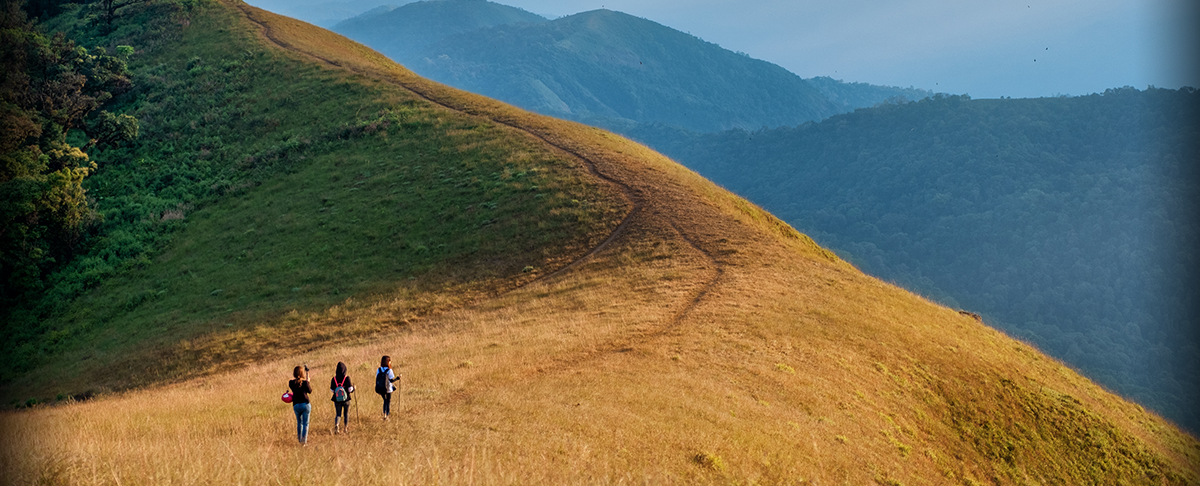 CVC投資担当に聞く　いま注目の投資領域と出資先企業と描きたい未来